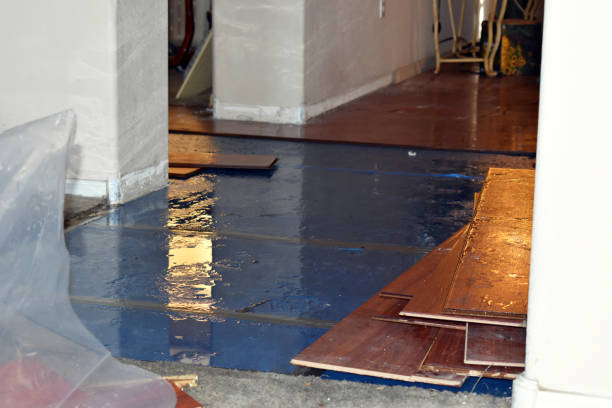 Professional Water Damage Repair technician working in Hunter, OH